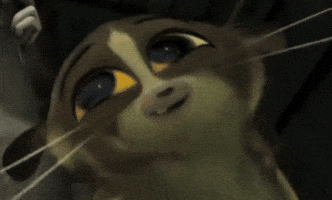 Madagascar 2 Dreamworks GIF