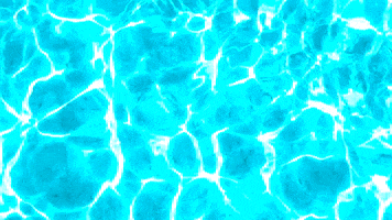 Swimming Pool Summer GIF by Casol