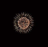 New-year-fireworks GIFs - Get the best GIF on GIPHY
