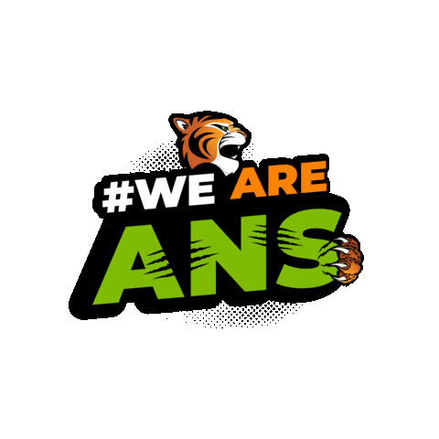 American Nicaraguan School Sticker