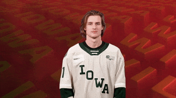 Ice Hockey Smh GIF by Iowa Wild