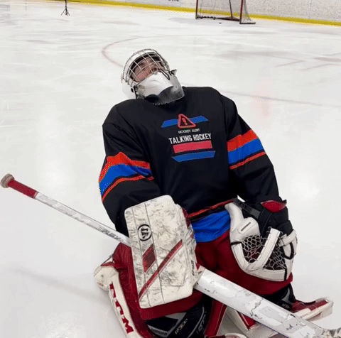 Zzz Falling Asleep GIF by Talking Hockey