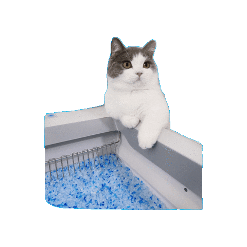 PetSafe Sticker