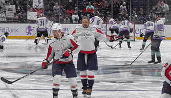 Washington Capitals Hockey GIF