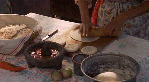 Tortillas2 GIFs - Get the best GIF on GIPHY