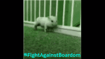 Fab Ymir Fightagainstboredom Pigs Rave GIF
