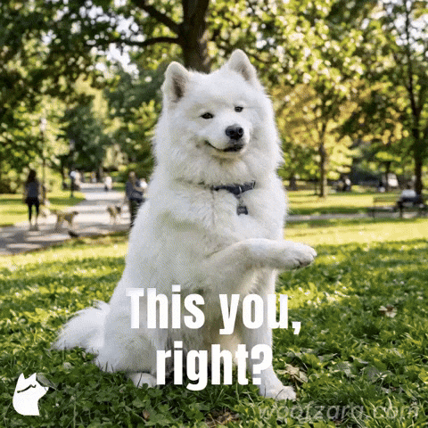 Dog Tag GIF by Goeememe