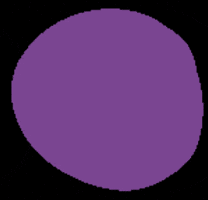 GIF by mariasarastudio