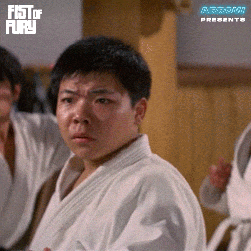 Martial Arts What GIF by Arrow Video
