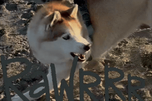 Mila GIF