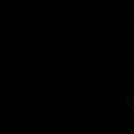 Lija GIF by FOX electronics
