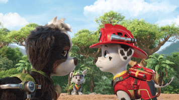 Shocked Nickelodeon GIF by Paw Patrol Movies