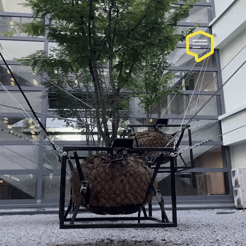 Money Hanging GIF by Linz News