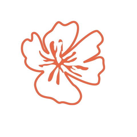 Flower Hibiscus Sticker by The Horse