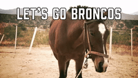 Let's Go Broncos