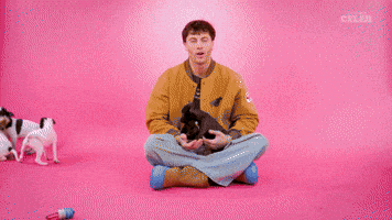 Uh Oh Puppy GIF by BuzzFeed