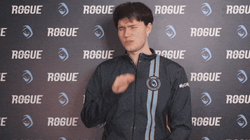 League Of Legends Lol GIF by Rogue