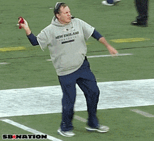 Ted Kennedy Belichick Reacts GIF