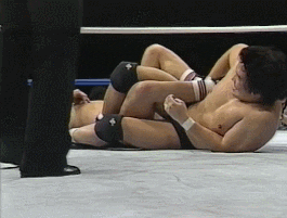 Wrestling GIF