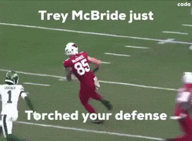 Nfl Cardinals GIF