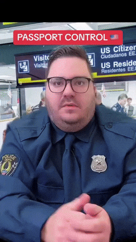 Vacation Plane GIF