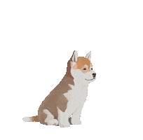 Animated Sticker