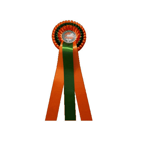 Vianen Sticker by Paardenmarktvianen