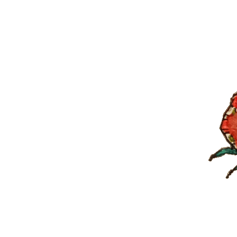 Strawberry いちご Sticker