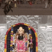 Rahul Gandhi Congress GIF