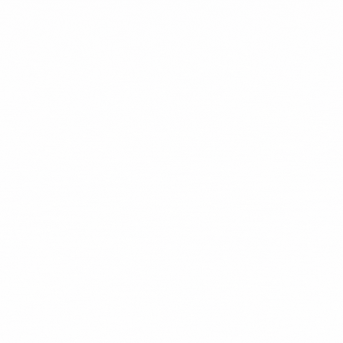 Sampa's Pizza GIF