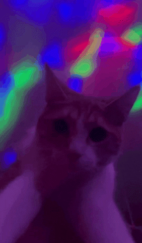 Mathapouf GIF by Trybe Immobilier