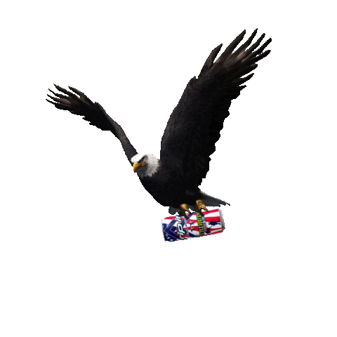 Usa America Sticker by RIPITEnergy