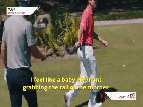 Smylie Kaufman Gifs Get The Best Gif On Giphy