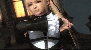 Dead Or Alive Doa GIF