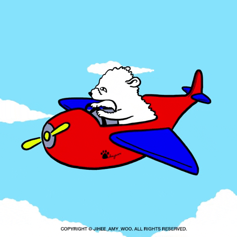 jiheeamywoo dog puppy airplane pilot GIF