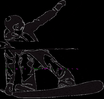 Boarderschwaben e.V. GIF