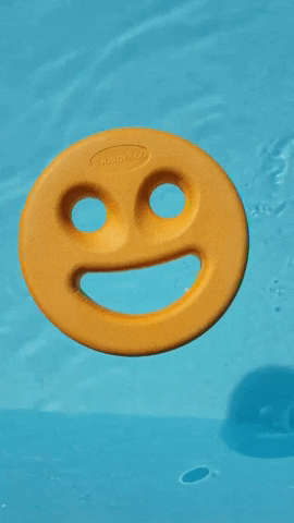 Dundee_Township_Park_District smile pool dtpd dolphincove GIF