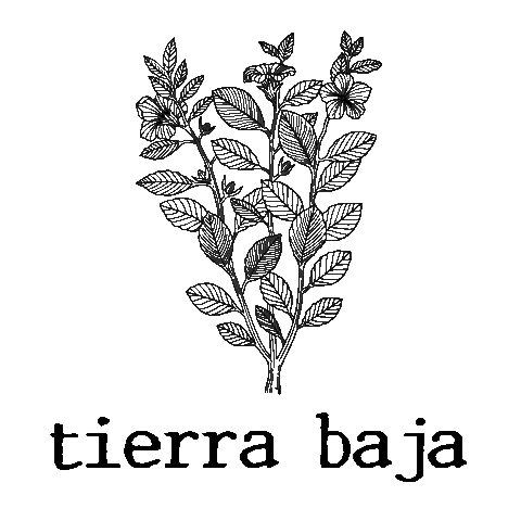 Sunscreen Sticker by Tierra Baja