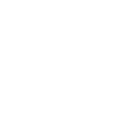 Ra Maori Sticker by Te Reo Label
