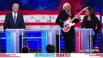Bernieshreds GIF