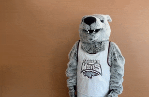 Wolf Pack Thumbs Up GIF by Cardinal Stritch University