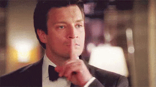 Giphy - Nathan Fillion No GIF by swerk