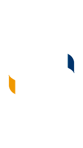 simplifique Sticker
