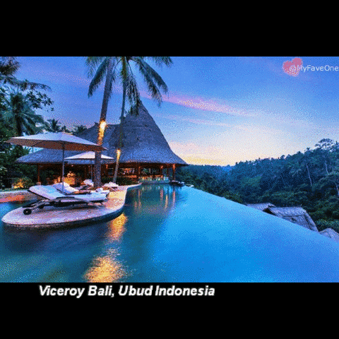 favekania travel indonesia hotel bali GIF