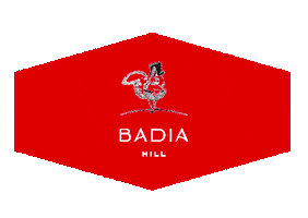 Dolomites Altabadia Sticker by BadiaHill