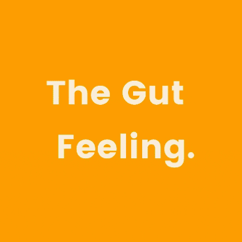 thegutfeeling GIF