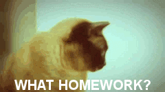 Friend Homework GIF - Find & Share on GIPHY