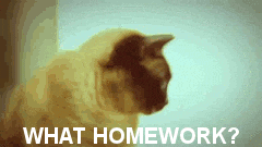 HOMEWORKS meme gif