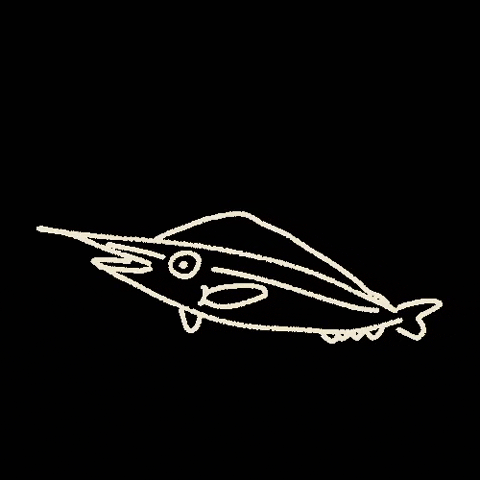 Fish GIF