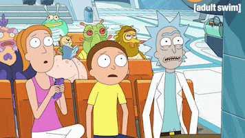 Season 2 Episode 208 GIF by Rick and Morty